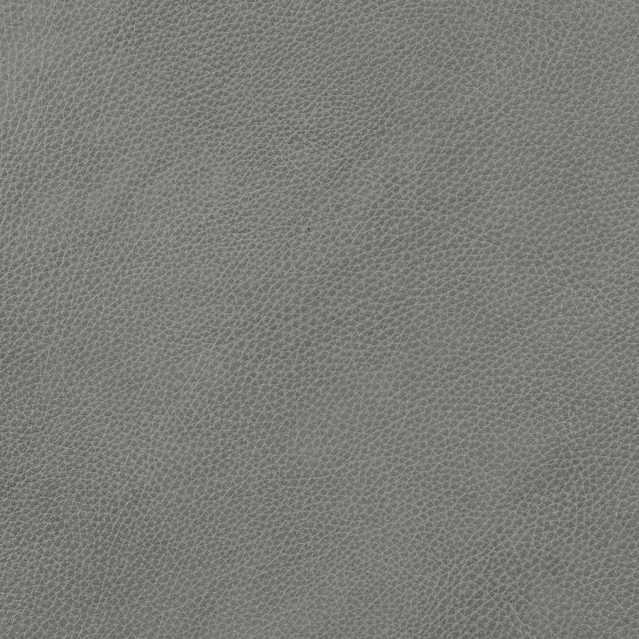 Leather Cloud Gray Sofa