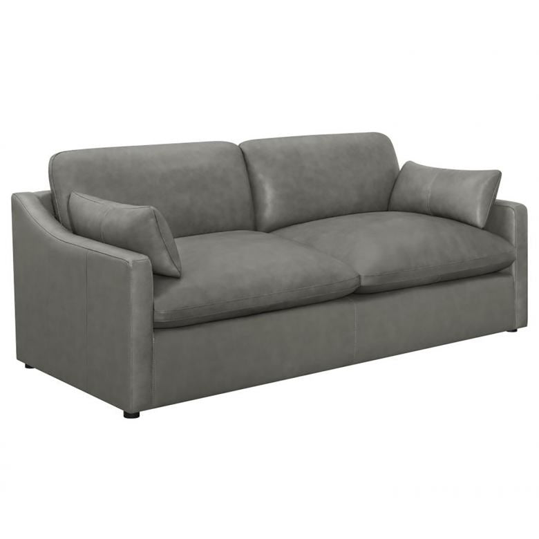 Leather Cloud Gray sofa | New Arrival