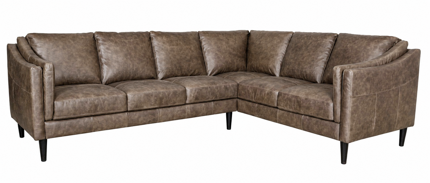 Ava Leather Sectional