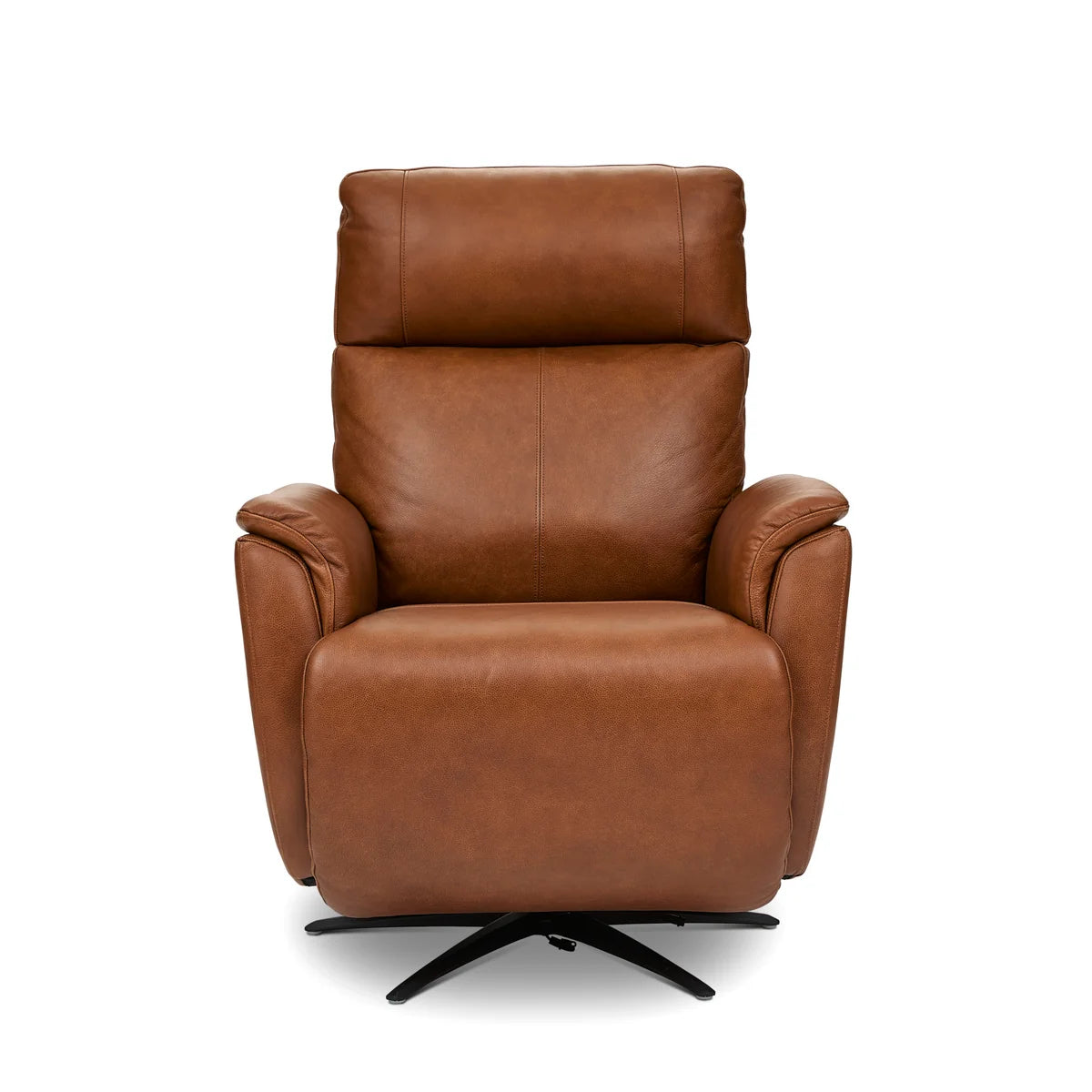Flex Steel Cove Recliner