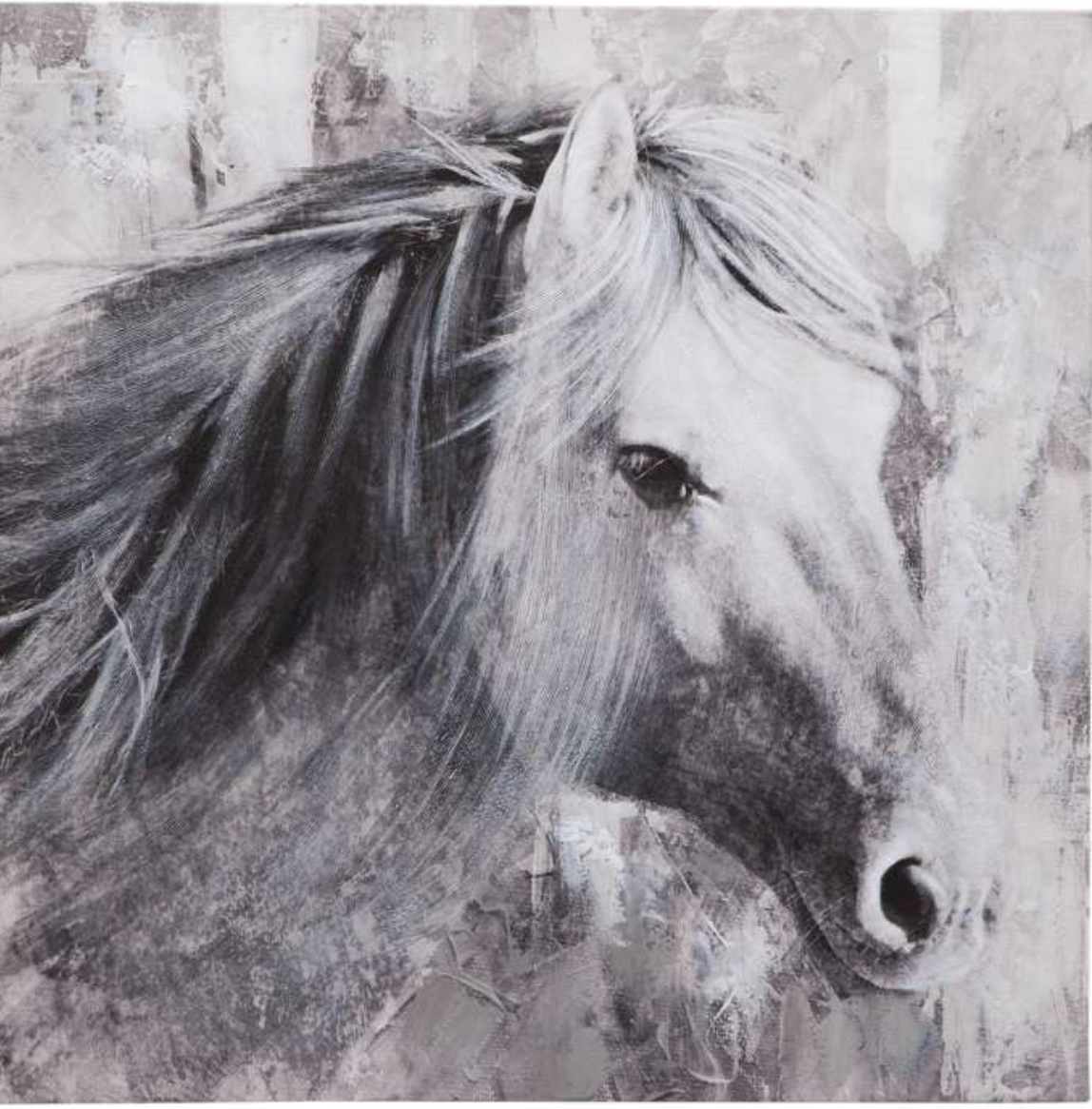 Meg the horse