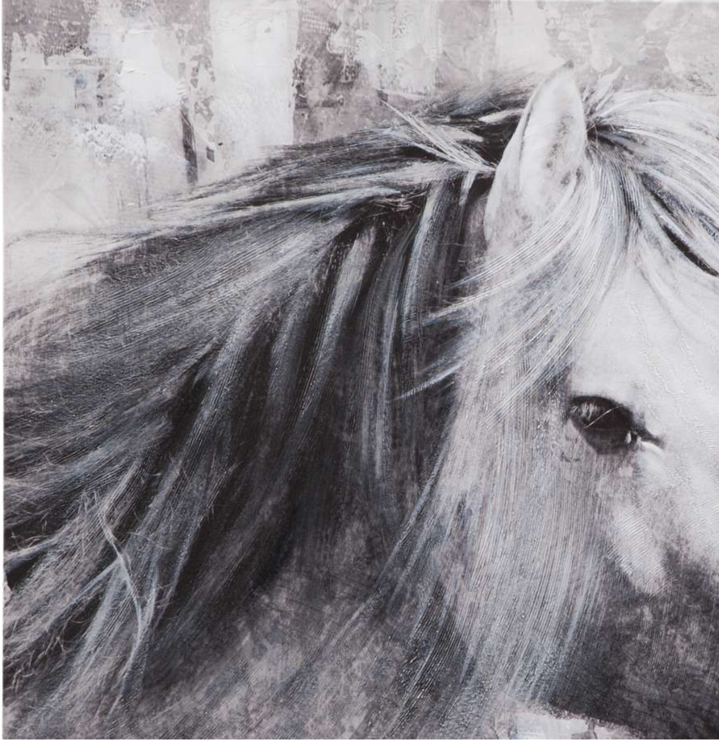 Meg the horse